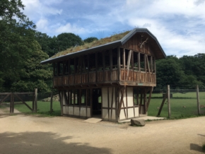 Aussichtskanzel im Duennwalder Wildpark